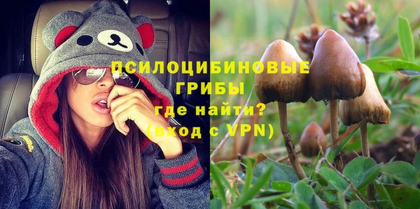 гашиш Ельня