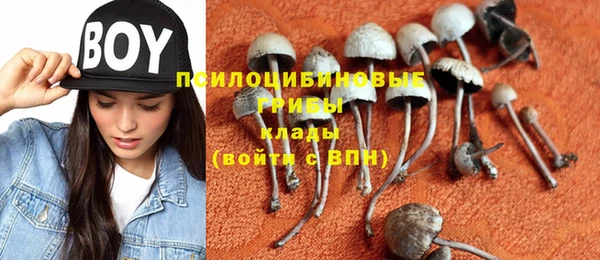 гашиш Ельня