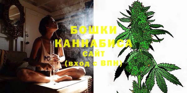 не бодяженный Заводоуковск