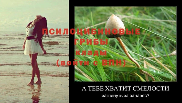 гидропоника Заволжье