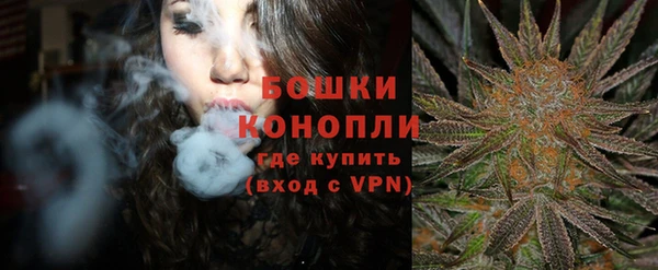 эйфоретик Елизово