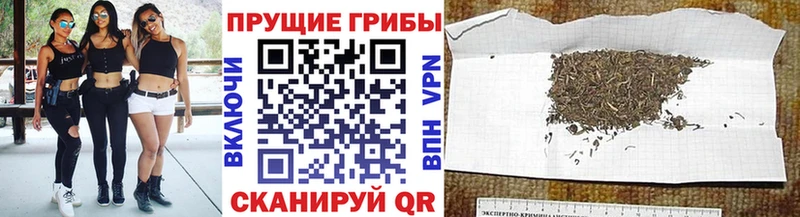 Купить  Билибино  Псилоцибиновые грибы мицелий 